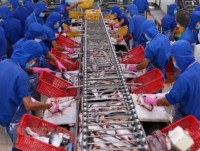Vietnam’s seafood exports to ASEAN expected to reach US$1 billion soon