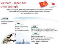 Infographics: Vietnam - Japan ties grow strongly