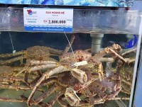 India tops seafood suppliers to Vietnamese market