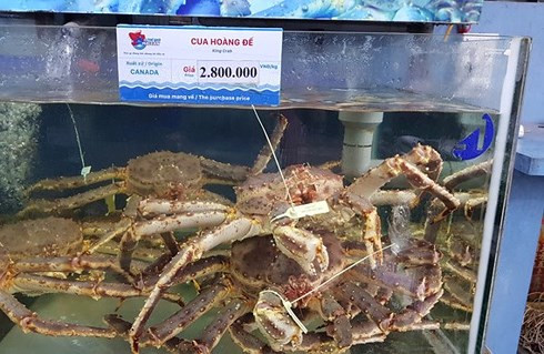 india tops seafood suppliers to vietnamese market