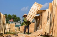 Vietnam suspects China hand in plywood export surge