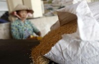 Vietnamese produce struggle to enter China