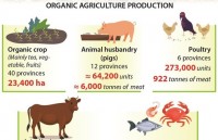 Vietnam aims to rank in top 15 organic farming countries