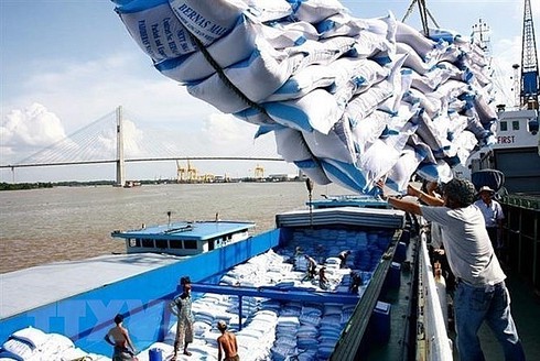 rice exports enjoy vigorous growth during eight month period