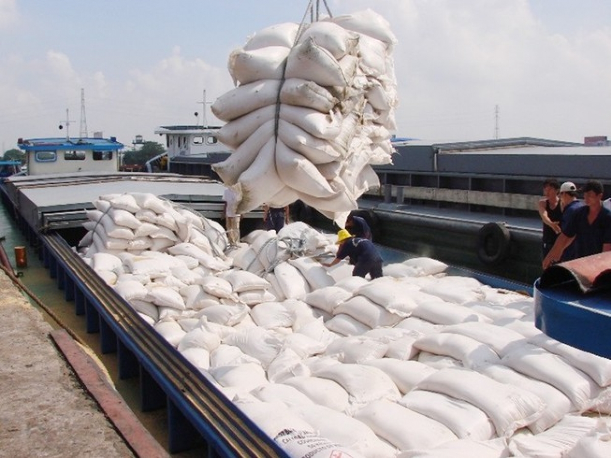 African countries, especially Algeria and Senegal, are expected to consume more Vietnamese rice, mostly broken rice, as the export of this product has increased sharply recently.