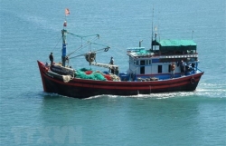 Stronger measures needed to combat IUU fishing: Deputy PM
