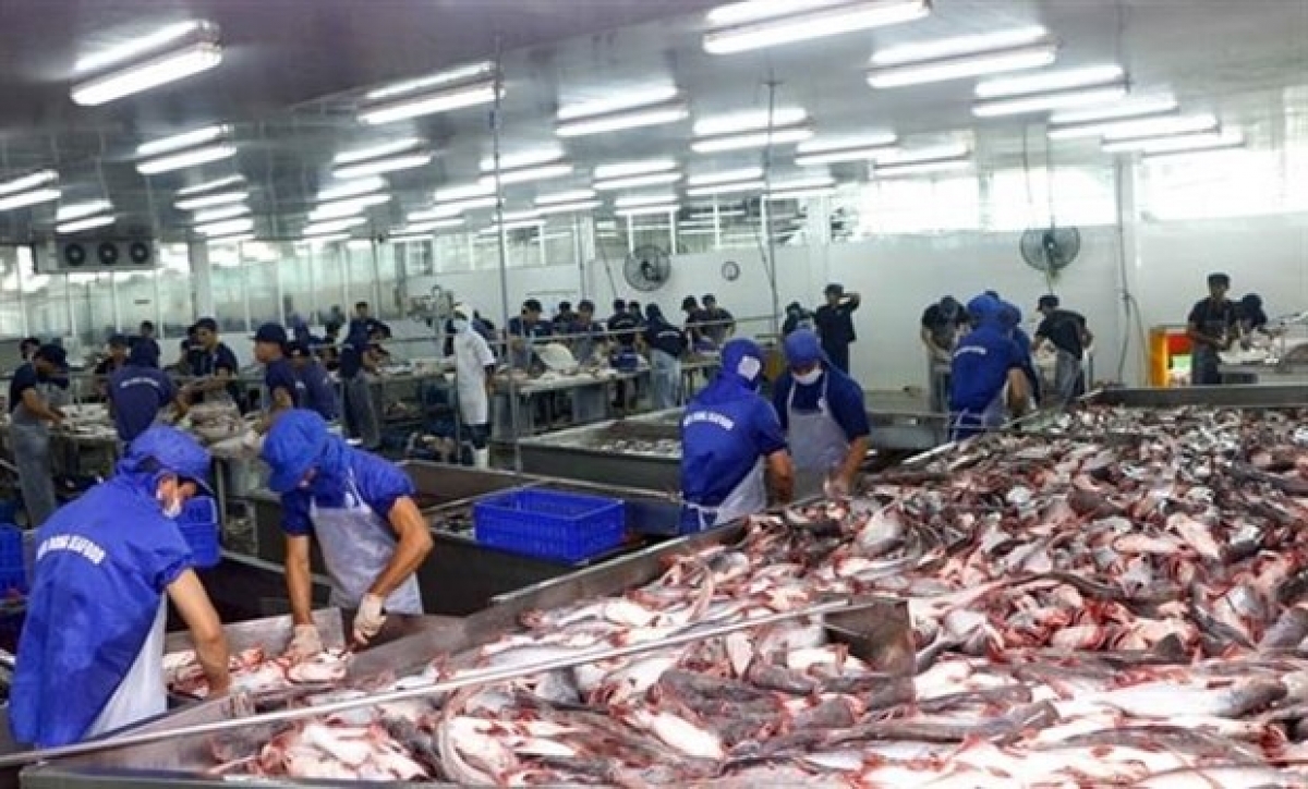 COVID-19 impact causes tra fish exports to China to plummet 