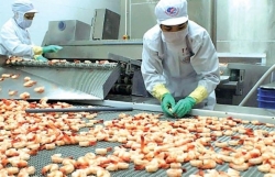 EVFTA provides boost for agricultural exports to EU
