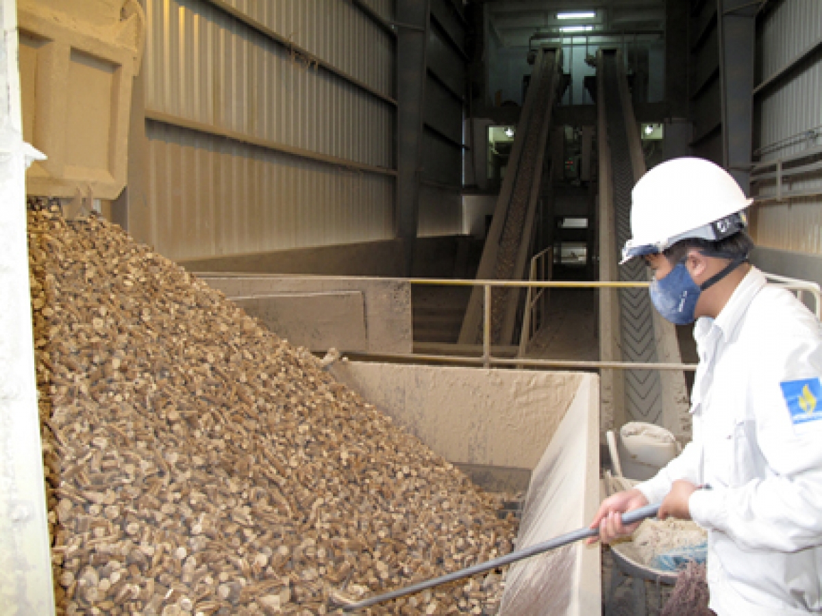 The export of dried cassava chips has witnessed robust growth during the opening months of the year