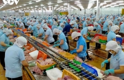 Vietnamese seafood items to be re-exported to Saudi Arabia
