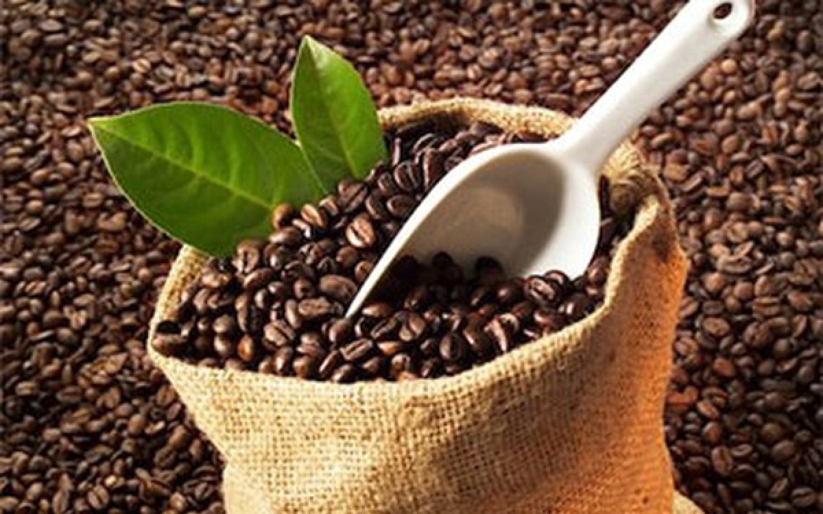 Vietnam ships first batch of coffee to EU with zero tariffs under the EVFTA with several  other agricultural products poised to enjoy preferential tariff in the coming time