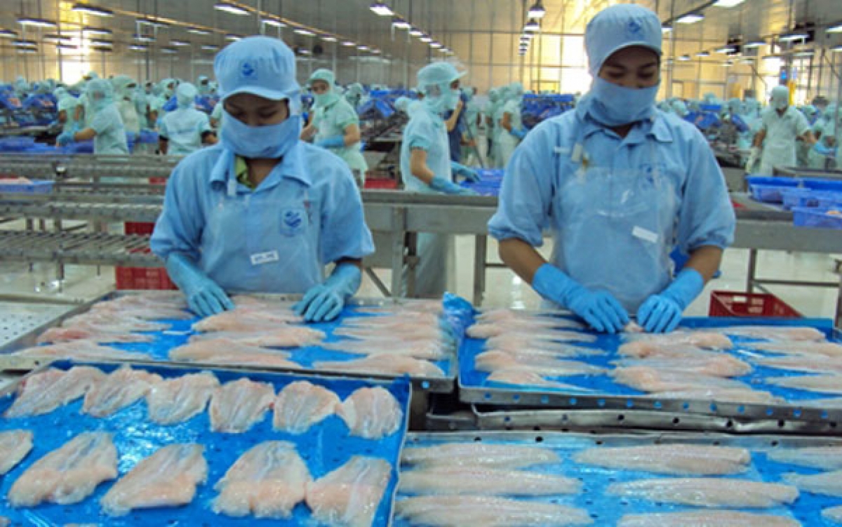 Tra fish exports to the UK see robust growth during eight-month period