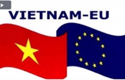 EU businesses enjoy fresh investment opportunities in Vietnam