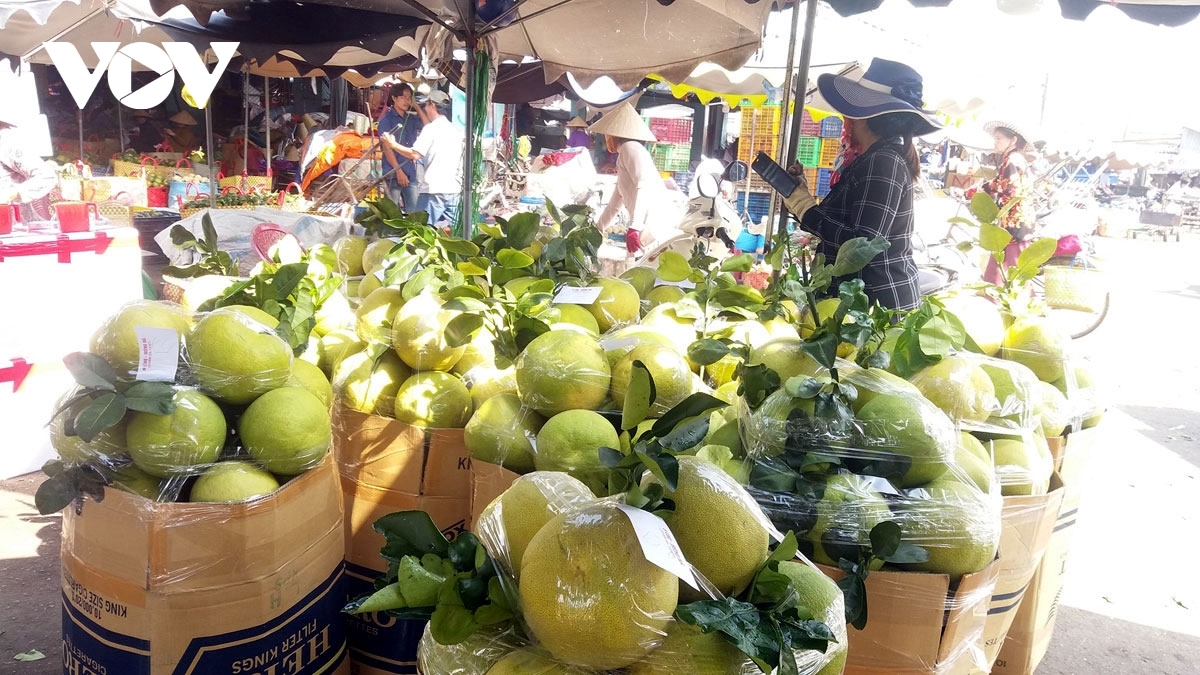 Vietnam is expected to get a US export license for pomelos by the end of this year. 