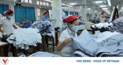 Vietnamese garment exports to EAEU poised to exceed trigger level