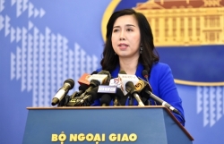 Việt Nam resolutely protects sovereignty over islands: Foreign Ministry spokesperson