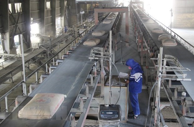 Cement exports up, domestic consumption down hinh anh 1