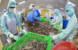 Agro, forestry, aquatic exports surge 13 per cent in eight months