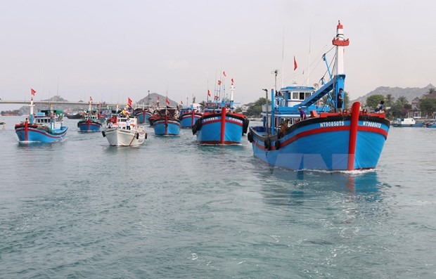 EC’s upcoming visit to Vietnam to review IUU fishing fight hinh anh 1