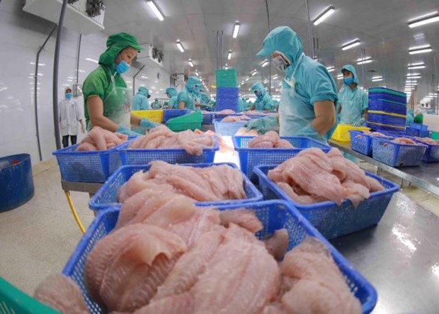 CPTPP holds potential for Vietnam’s tra fish exports hinh anh 1