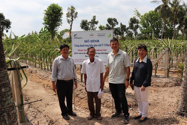 Safe production sustains Vietnam’s fruit export brand hinh anh 5