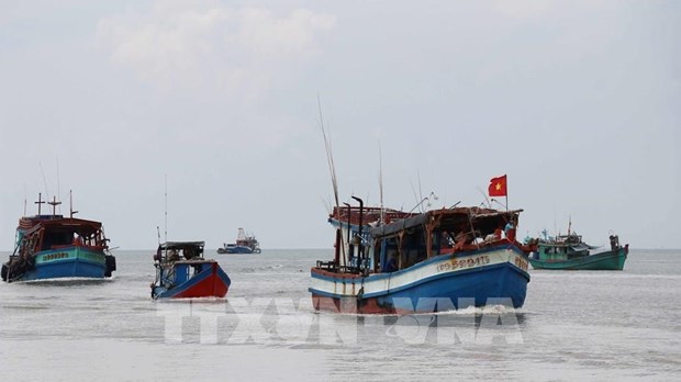 More efforts needed to remove EC fisheries warning hinh anh 1