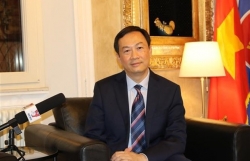 Ambassador suggests solutions to boost Vietnam-Italy trade exchange