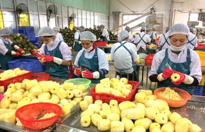 Deep processing to develop the local agricultural products