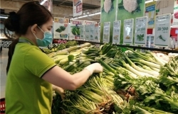 Ministry to scrutinise VietGap certifications after fake labels found on vegetables