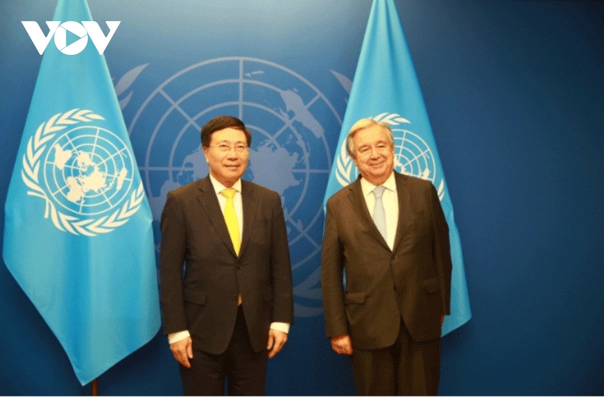 un supports vietnam s priority areas picture 1