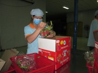 Taiwan reopens its doors to dragon fruit