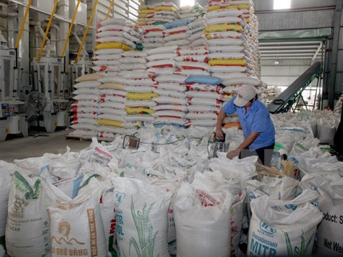 philippines to import 293100 tons of vietnam rice