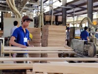 Furniture and forest exports face cloudy future