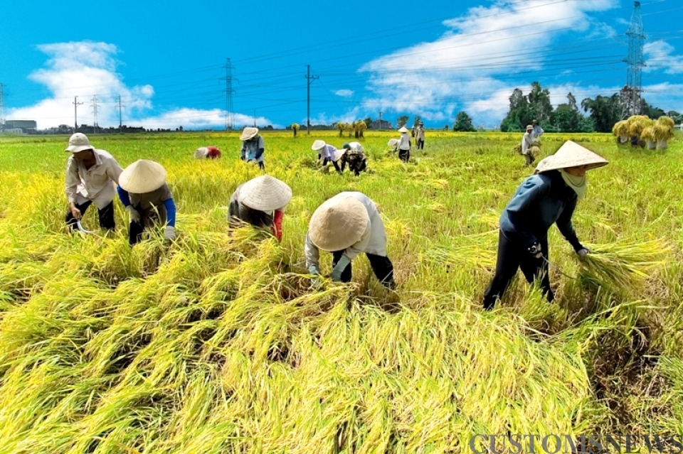 government proposes more agricultural tax exemption