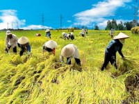 Government proposes more agricultural tax exemption