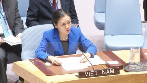 ambassador highlights vietnams stance in disarmament nuclear non proliferation