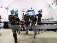 UN commits to supporting Vietnam in peacekeeping activities