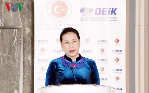 vietnam turkey advised to provide motivation in trade and investment