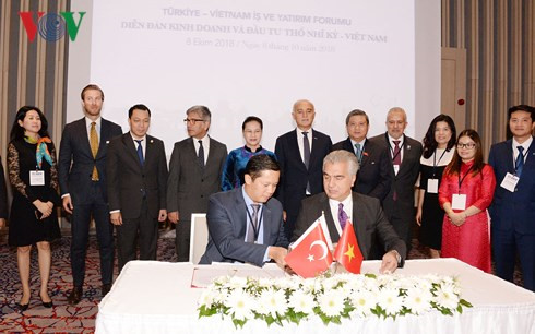 vietnam turkey advised to provide motivation in trade and investment