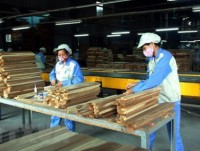 Forestry sector in US$5.72 billion trade surplus