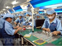 EVFTA expected to bring US$3.2 billion in benefits to Vietnam: experts