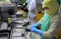 Shrimp exports likely to fall 4 per cent this year