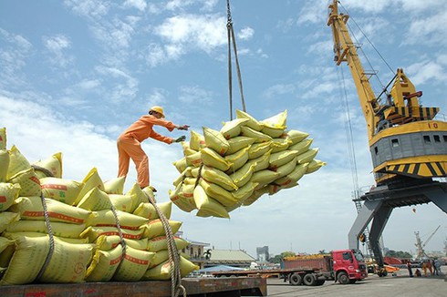 businesses need to be cautious about exporting rice to philippines