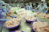 Tra fish exports plunge during nine-month period