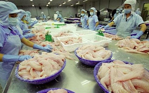 tra fish exports plunge during nine month period