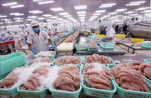 us cuts antidumping duties on vietnamese tra fish fillets