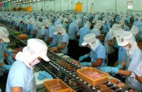 Shrimp exports to EU suffer steep decline