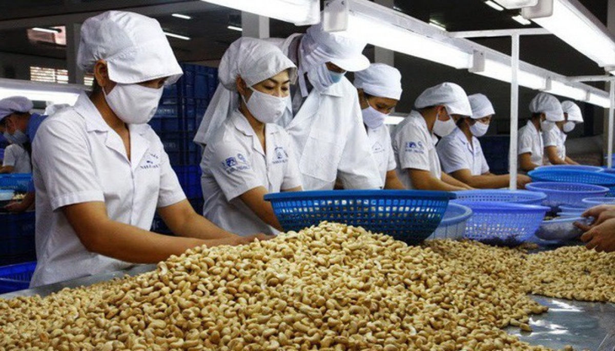 Cashew nuts are one of the six commodity groups that rake in more than US$2 billion from exports in nine months