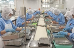Vietnam likely to earn 300 billion USD in exports this year
