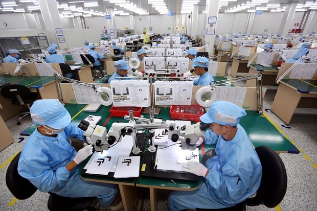 Vietnam's economic recovery forecast to be on track hinh anh 1